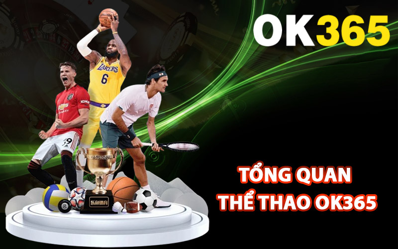 Tổng quan thể thao Ok365